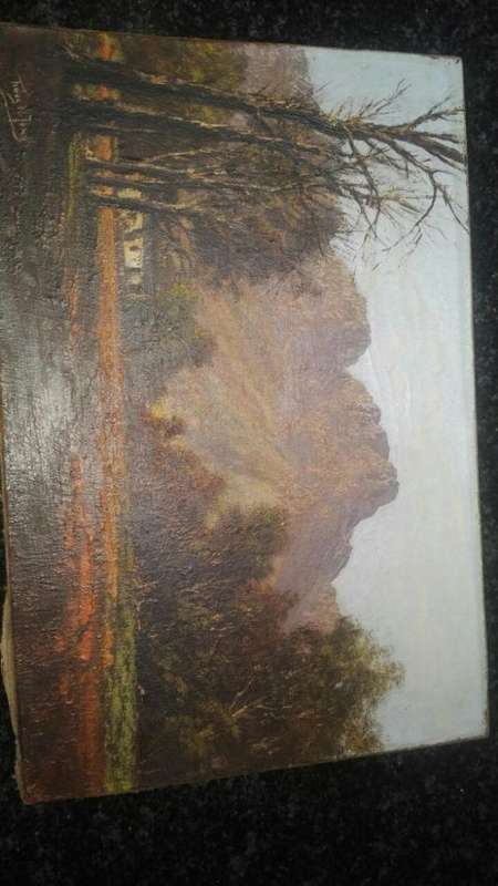 Tinus de Jongh